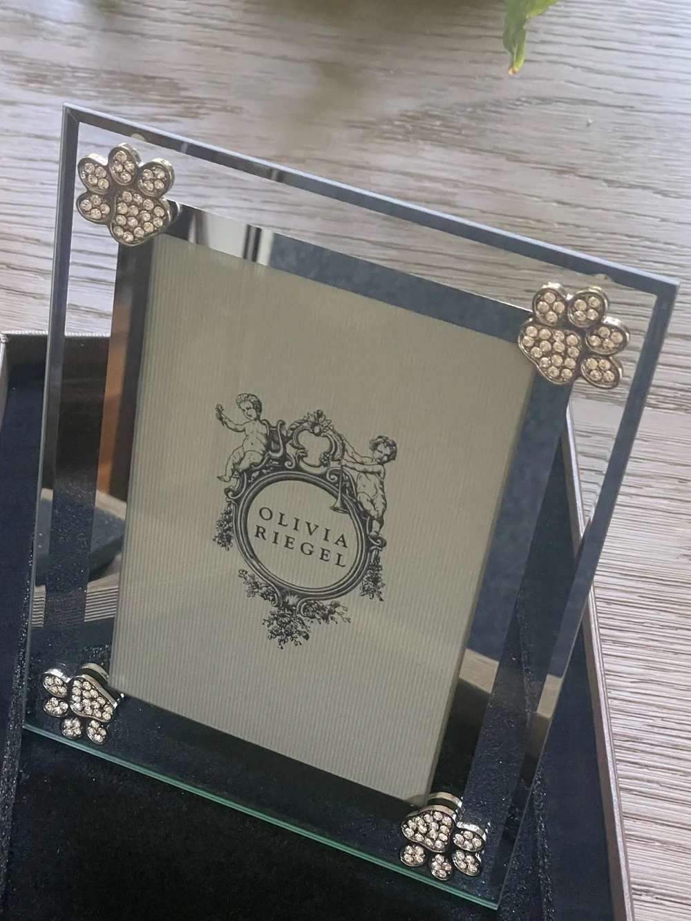 NIB | Olivia Riegel Paw Print Frame 4x6 Crystal Paw Print Glass Photo Frame